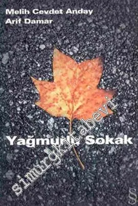 Yağmurlu Sokak -