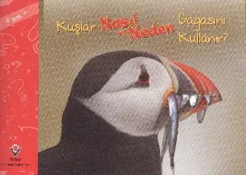 Kuşlar Nasıl ve Neden Gagasını Kullanır 6 Yaş