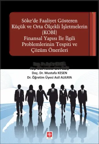 Söke'de Faaliyet Gösteren Küçük ve Orta Ölçekli işletmelerin (KOBİ) Finansal Yapısı ile İlgili Problemler
