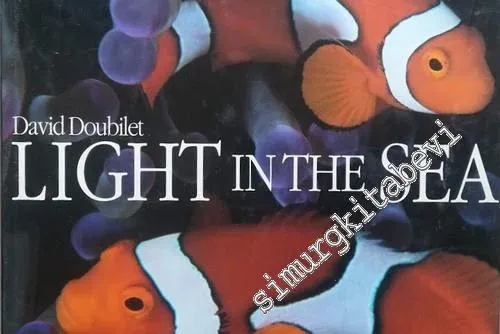 Light in the Sea (Evergreen Series) -        1995