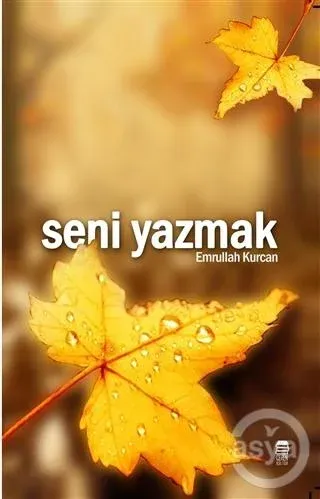 Seni Yazmak