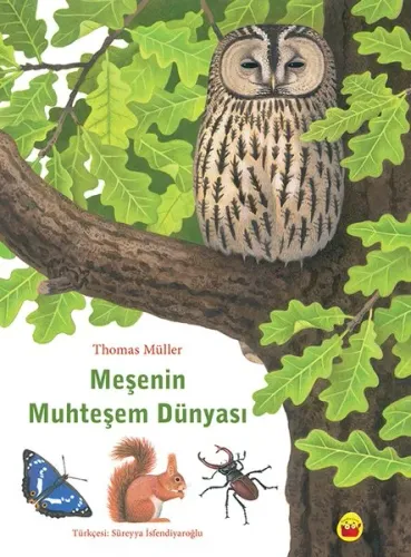 Meşenin Muhteşem Dünyası