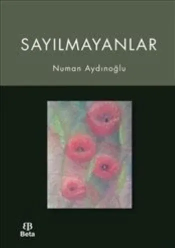 Sayılmayanlar Numan Aydınoğlu