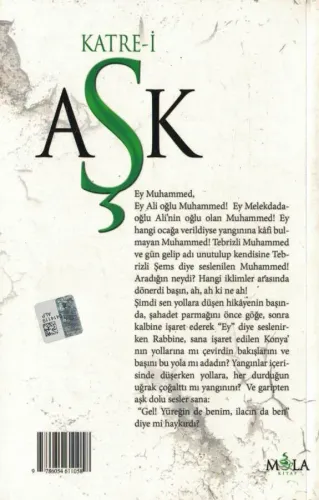 Şemsi Tebrizi Katre-i Aşk Celalettin Aksu Mola Kitap %50 indirimli