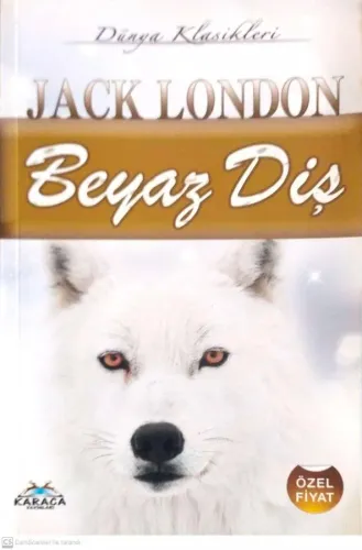 Beyaz Diş