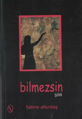 Bilmezsin