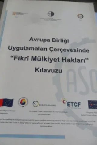 Avrupa Birliği Uygulamaları Çerçevesinde Fikri Mülkiyet Hakları Kılavuzu