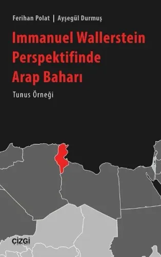 Immanuel Wallerstein Perspektifinde "Arap Baharı"; Tunus Örneği