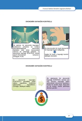 Finansal Tablolar Denetimi Uygulama Rehberi