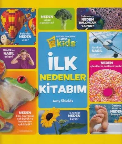 İlk Nedenler Kitabım Amy Shields