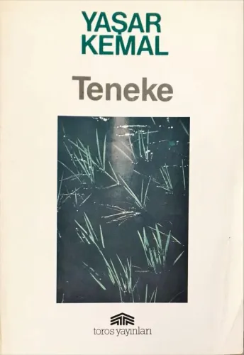Teneke