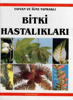 Yayvan ve İğne Yapraklı Bitki Hastalıkları
