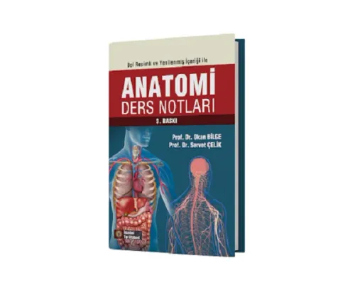 Anatomi Ders Notları