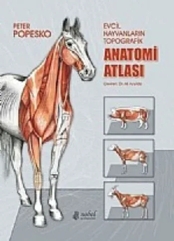 Evcil Hayvanların Topografik Anatomi Atlası