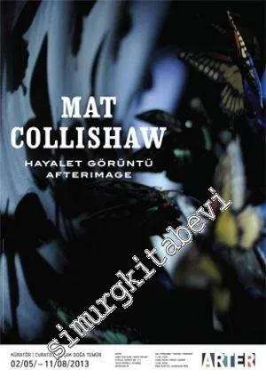 Hayalet Görüntü = Afterimage: Mat Collishaw Sergisi -         2013