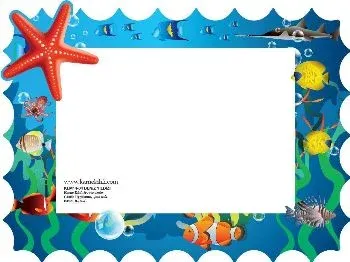 KAMPANYALI - Karne Kılıfı Deniz Yıldızı KLM14-04 - 10'lu Paket