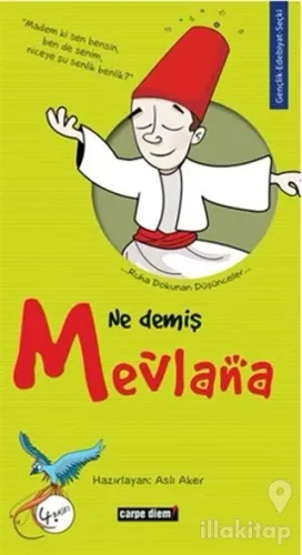 Ne Demiş Mevlana