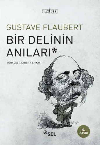 Bir Delinin Anıları