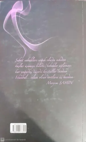 Taş Köprü,Sisler Ve Kadın Meryem ŞAHİN Bilmen Yayınları %57 indirimli