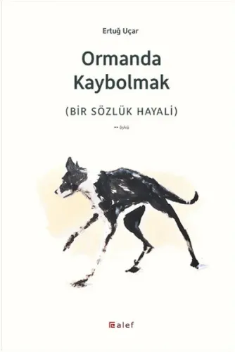 Ormanda Kaybolmak; Bir Sözlük Hayali