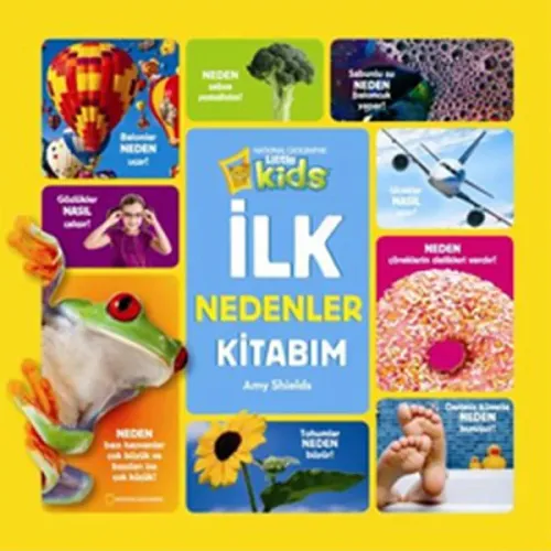 İlk Nedenler Kitabım