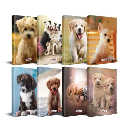 Köpek Temalı Süresiz Planlama Defter Seti - 8 Defter