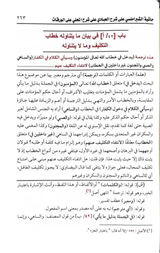 Şerhul varakat حاشية الشبراملسي علي الورقات