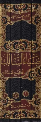 Ziyaus Salik ila evzahil Mesalik ضياء السالك إلى أوضح المسالك