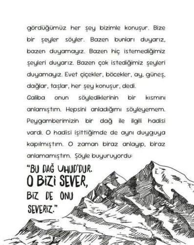 Vadideki Misafir (Yaş: 9+) Hatice Uğur