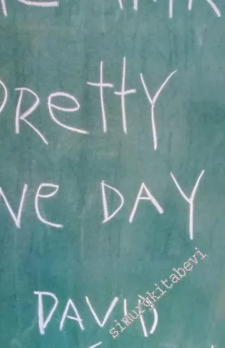 Me Talk Pretty One Day -        2000