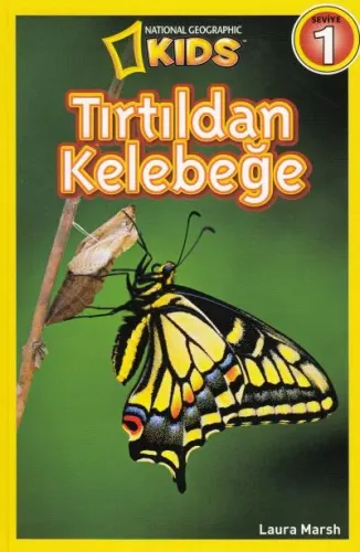 Tırtıldan Kelebeğe