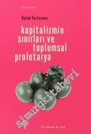 Kapitalizmin Sınırları ve Toplumsal Proletarya - 2012