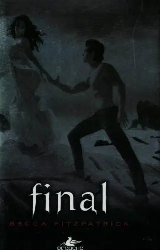 Hush Hush Serisi 4 Kitap (Ciltli) Becca Fitzpatrick Pegasus Yayıncılık