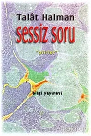 Sessiz Soru