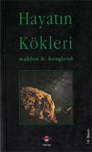 Hayatın Kökleri