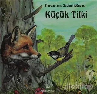 Küçük Tilki