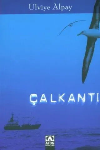 Çalkantı
