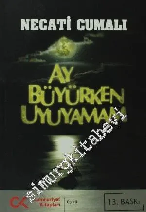 Ay Büyürken Uyuyamam -         2017