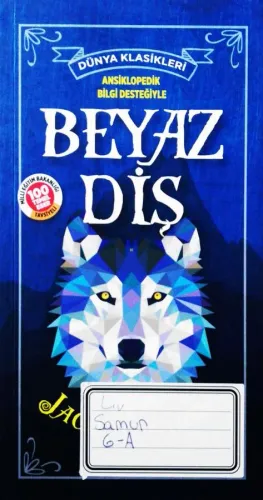 Beyaz Diş