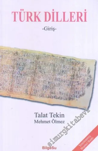Türk Dilleri: Giriş