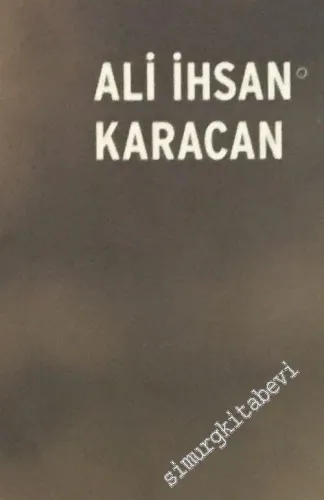 Mali Piyasalar Üzerine Denemeler -