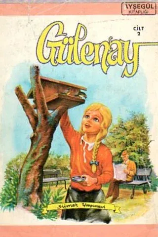 Gülenay 2.Cilt