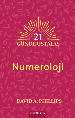21 Günde Ustalaş – Numeroloji