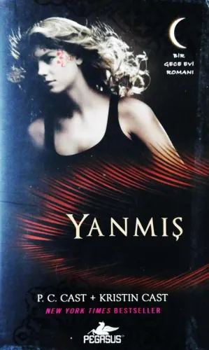 Yanmış Bir Gece Evi Romanı