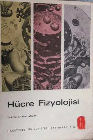 Hücre Fizyolojisi