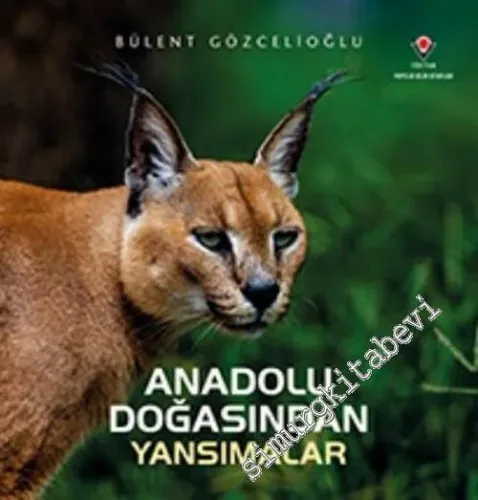 Anadolu Doğasından Yansımalar -         2023