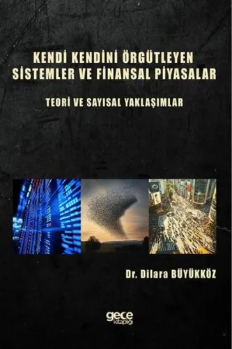Kendi Kendini Örgütleyen Sistemler ve Finansal Piyasalar ;Teori ve Sayısal Yaklaşımlar