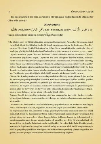 Ömer Nesefî Akaidi Tercümesi Kırık Manalı İzahlı