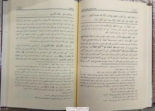 Şerhül Muğni شرح المغني في النحو Muhammed Bin Abdurrahim El Meylani / 
