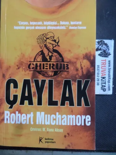 Çaylak